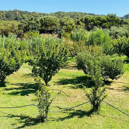 Сasa de vacaciones Holiday Casa Dina Es Mercadal